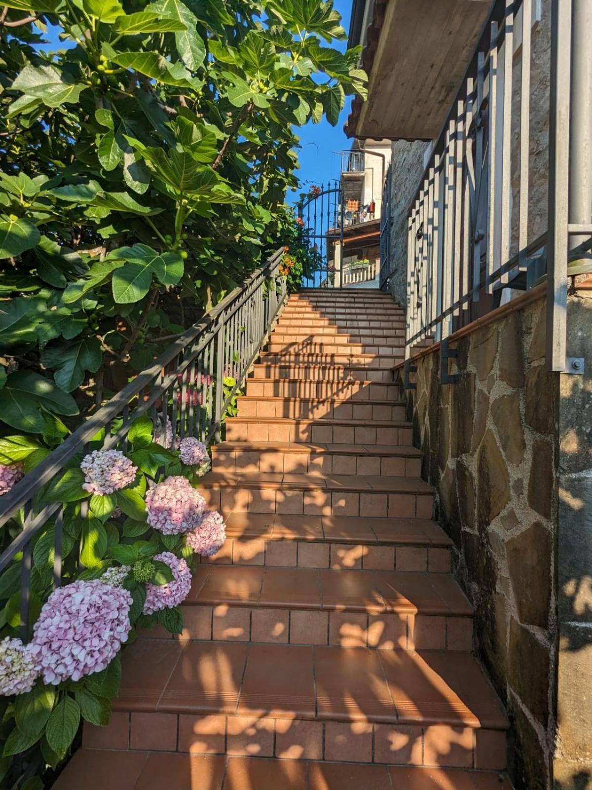 La Casa Di Lidia Bed & Breakfast Cardile Exterior photo
